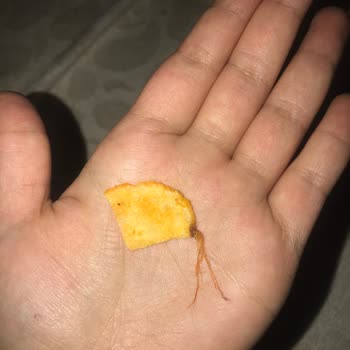 BİM Patito Cipsin İçinden Çıkan