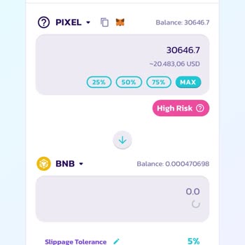 PancakeSwap'ta Yaşanan Teknik Sorunlar