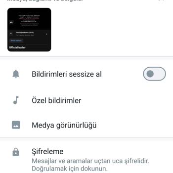 Telegram Ve WhatsApp Ekran Görüntüsü At Para Kazan Uygulaması Hk.