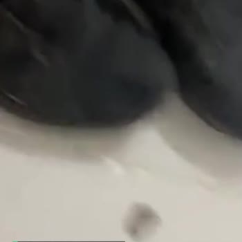 Nike Ayakkabının Önü Yırtıldı