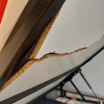 Doğtaş Baza Sunta Sorunu