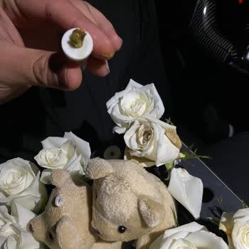 Çürük Solmuş Çiçek Lilyana Flowers Çürük Çiçek