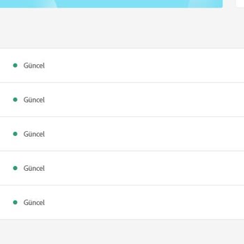 Lisansnet Lisans.net Program Ve İletişim Sorunu