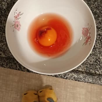 BİM Yumurta Döllenmiş Ve Kanlı