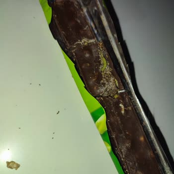 Eti Çikolata Canlı Kurt Çıktı