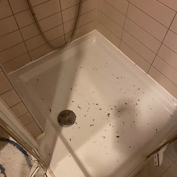 Kalitesiz Ürün Hayal Kırıklığı: Nike Eşofman Sorunu