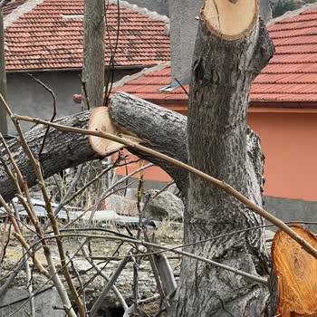 Enerjisa Başkent Elektrik Perakende Enerjisa Bedaş Elektrik Aş Çankırı Şabanözü Müdürlüğü