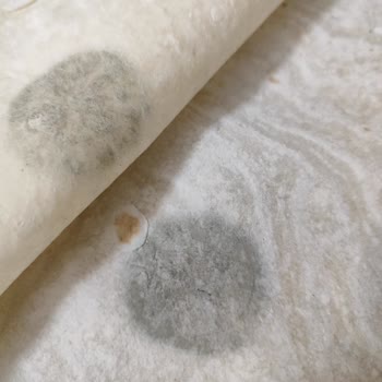 Metro Grossmarket Gülümoğlu Lavaşı Küflü Çıktı