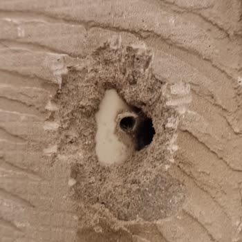 Baymak Servisi Su Hattımı Deldi, Kendilerinin Yapmadığı Beyan Ettiler