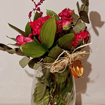 Osevio.com Çiçekler Kargoda Zahmetsizce Kuruyor