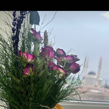 Osevio.com Çiçekler Kargoda Zahmetsizce Kuruyor