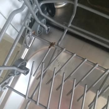 Franke Bulaşık Makinesi Sele Pası