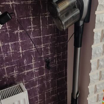 PHILIPS Ev Aletleri Philips Yetkili Servisi Şikayet