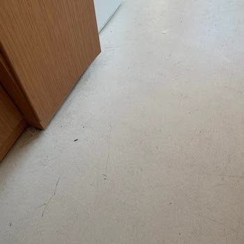 İstanbul Haseki Eğitim Ve Araştırma Hastanesi Hijyen Ve İlgi Eksikliği