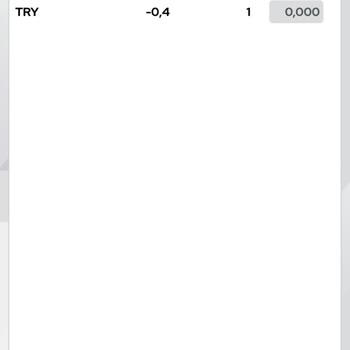 Ziraat Yatırım Borsa Param Görünmüyor
