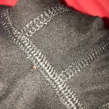 Mavi Düşük Kalite Ürün