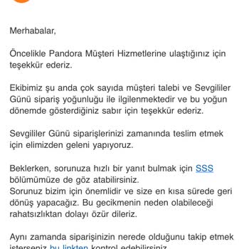 Pandora Mücevher Pandora Sipariş Teslimatı Gecikmesi
