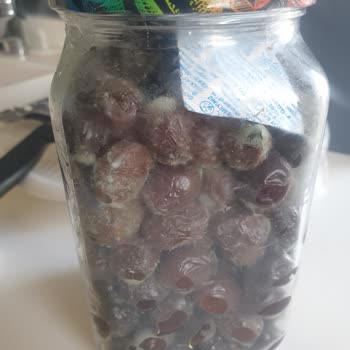 MarmaraBirlik Zeytin Kapalı Şişe Küflendi