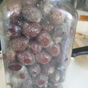 MarmaraBirlik Zeytin Kapalı Şişe Küflendi