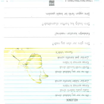 Epson Ali A*** Mahmutlar Kılıçarslan İlkokulu Alanya/Antalya