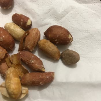 Şok Market Amigo Fıstık (yabancı Madde Çıkması)
