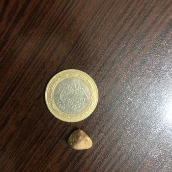 Şok Market Amigo Fıstık (yabancı Madde Çıkması)