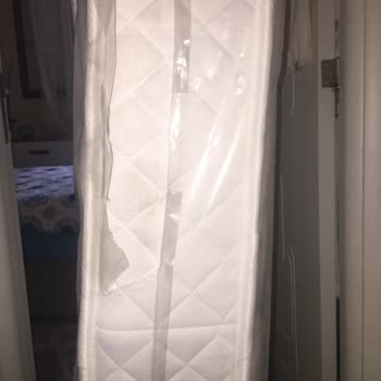 Horoz Lojistik Ve Kaba Davranışları