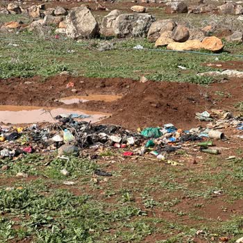 Viranşehir Belediyesi Mahallemizdeki Çevre Kirliliği Sorununa İlişkin Çöp Kovası Talebi