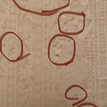 Gümüşsuyu Halı Defolu Ürününü Fabrika Ayarlarına Uygun Görüyor