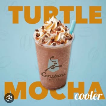 Caribou Coffee Turtle Mochas Not as Advertised