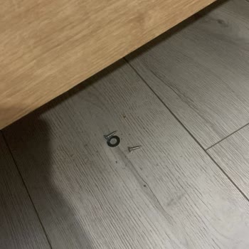 Defekte Montage und mangelhafter Kundendienst von Enza Home