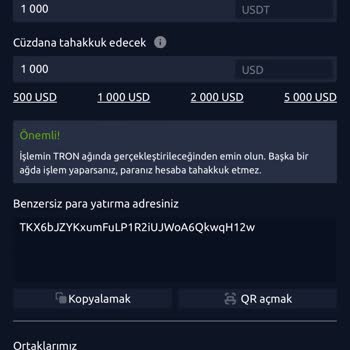 Skype Yatırım Platformu Üzerinden Yaşanan Mağduriyet Hakkında
