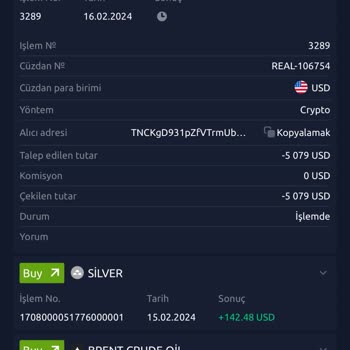 Skype Yatırım Platformu Üzerinden Yaşanan Mağduriyet Hakkında