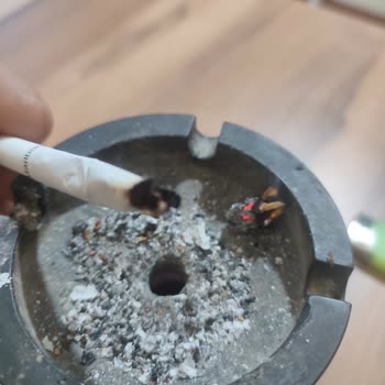 Philip Morris Sigaradan Odun Çıktı