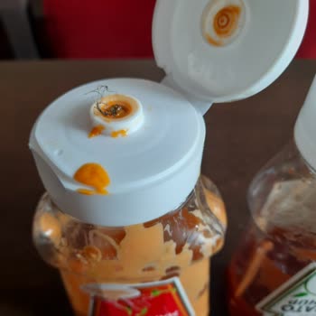 Heinz Marka Mayonezden Kıl Yumağı Çıktı