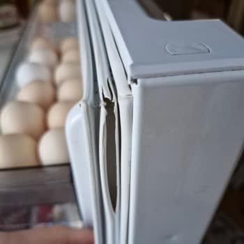 Arçelik Buzdolabı Kapı Contası Yırtılması