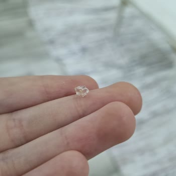 TMO Markalı Fındık Krokanın İçinden Cam Çıkması