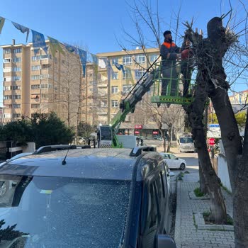 Maltepe Belediyesi'nin Araçlara Zarar Verme Sorunu