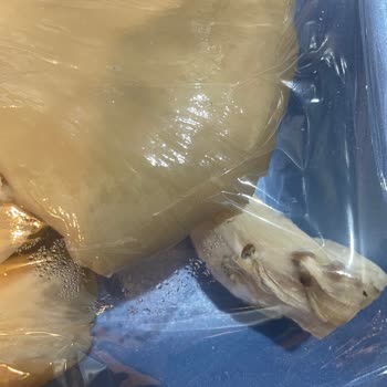 A101 Kapıda Küflü Bozuk Ürün Göndermesi