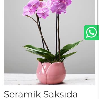 Kırmızıgül Çiçekçilik Yanlış Ürün, Solmuş Orkideler