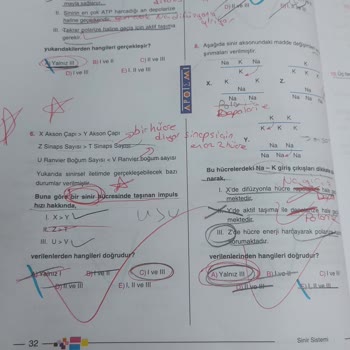 Apotemi Yayınları Apotemi Yanlış Sorular Ve Cevaplar Yüzünden Bildiğimi Unuttum