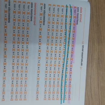 Apotemi Yayınları Apotemi Yanlış Sorular Ve Cevaplar Yüzünden Bildiğimi Unuttum