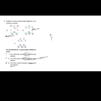 Apotemi Yayınları Apotemi Yanlış Sorular Ve Cevaplar Yüzünden Bildiğimi Unuttum