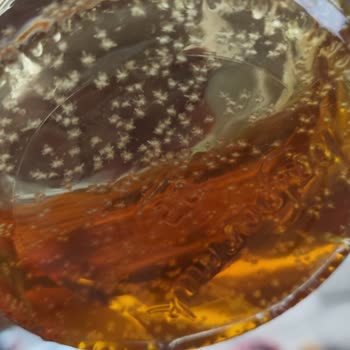 Bal Bozulmayan Tek Gıda Olmasına Rağmen Balparmak Küflendi