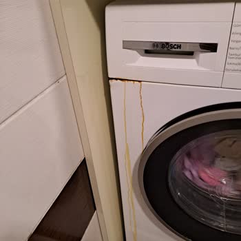 Bosch Çamaşır Makinesi Pas Akması