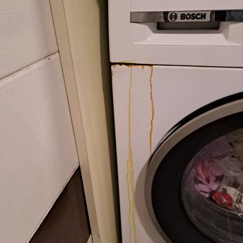 Bosch Çamaşır Makinesi Pas Akması