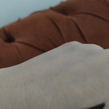 Watsons Kötü, Kuru Ürün