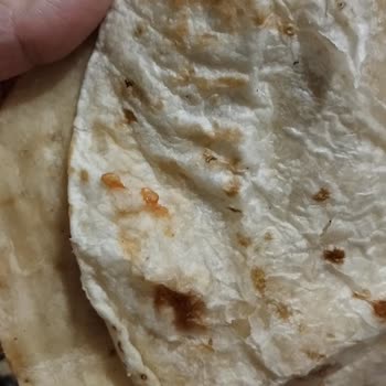 Köfteci Yusuf Domatessiz Üründe Domates Tohumları