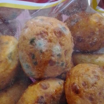 Dink Gıda Küflü Ürün