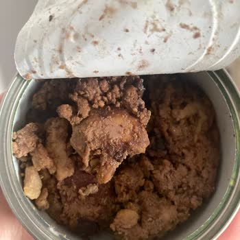 Farmina N&D Yaş Mama